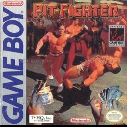 Experience the thrill of Pit-Fighter, an action-packed retro fighting game. Play now!