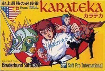 Discover Karateka, the NES martial arts classic. Relive the 80s adventure and strategy in this iconic game.