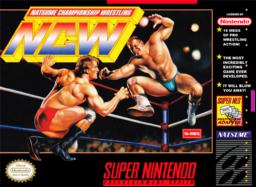 Play Natsume Championship Wrestling, classic SNES game. Experience ultimate wrestling action right now!