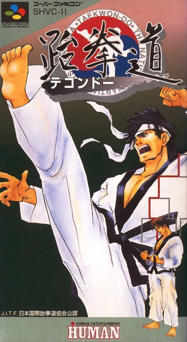 Play Taekwon-Do on SNES - Martial arts action game with strategy elements. Relive the classic gameplay.